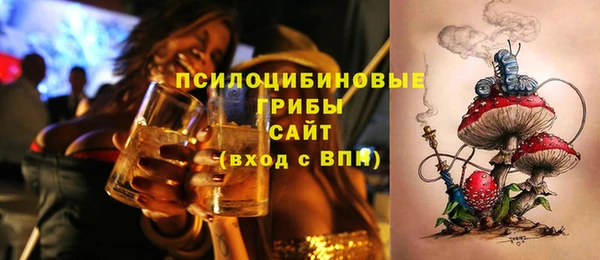 прущие грибы Алексин