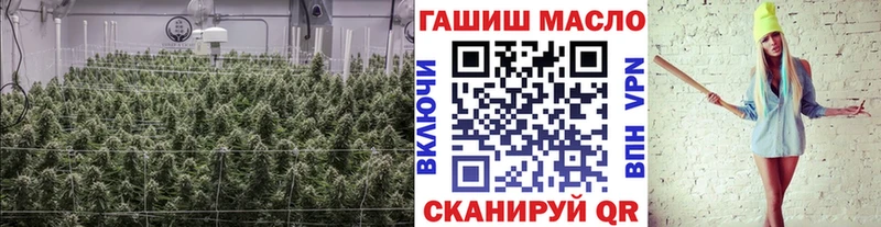 ТГК гашишное масло  купить наркотик  Сосновоборск 